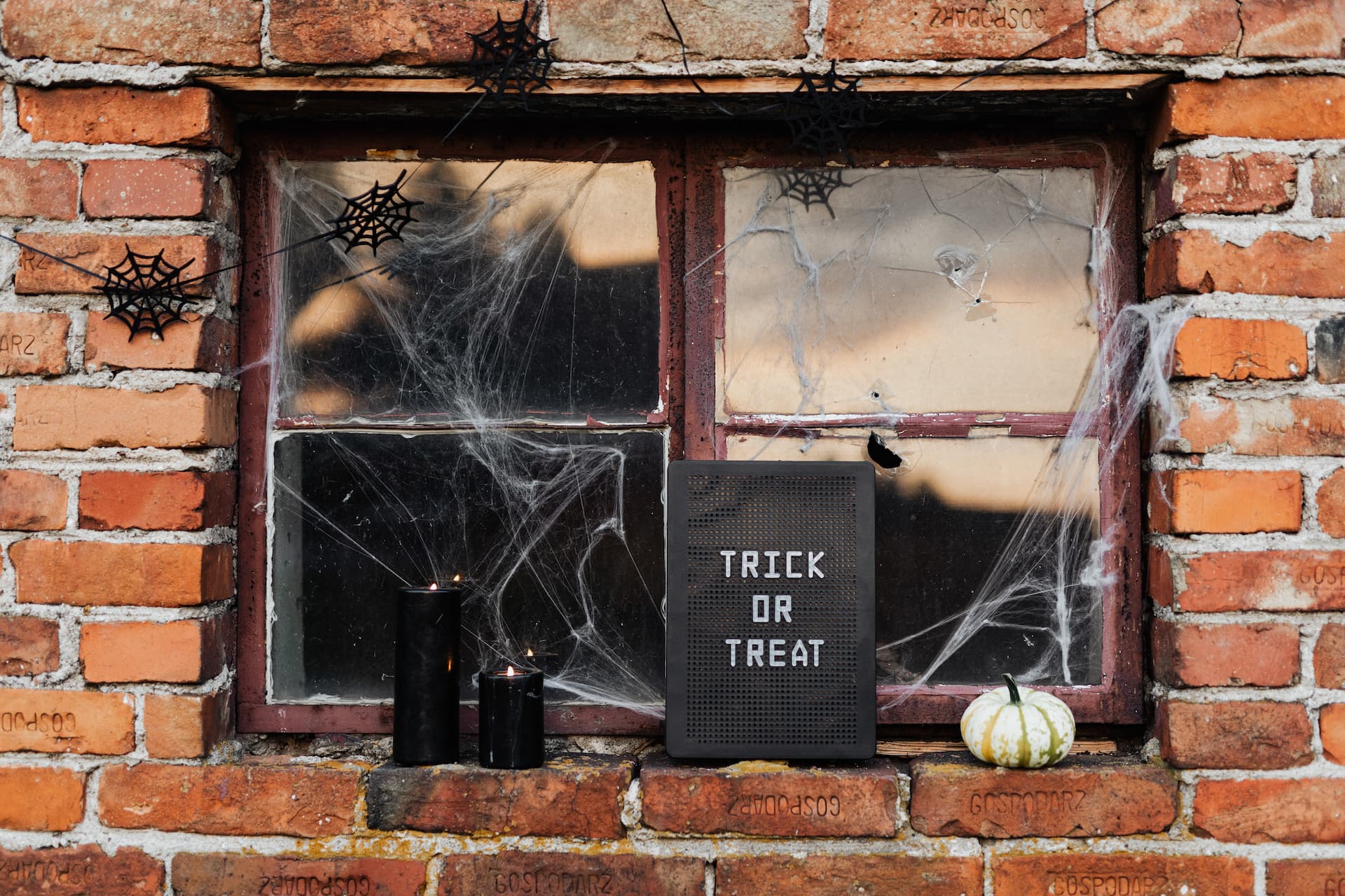 Las arañas se usan mucho en decoración en Halloween
